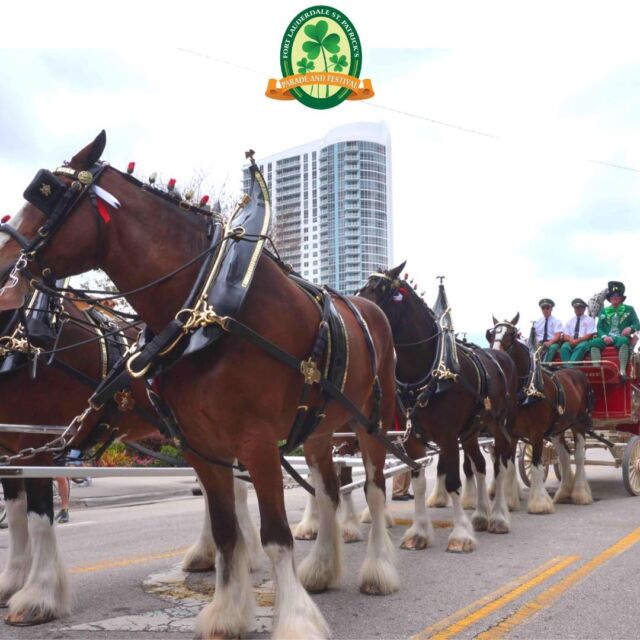 Get Your Green On 🍀

At the Fort Lauderdale St. Patrick's Day Parade, enjoy live music, colorful floats, and delicious food, all while celebrating the luck of the Irish. Don't miss out on the fun – for all the details, visit the link in our bio. 👆🏼

#FortLauderdaleRealtor #FortLauderdale #RealtorsOfIG #AgentsOfCompass #CompassRealEstate #BarkinGroup #TheBarkinGroup #ThingsToDoFortLauderdale #SouthFlorida #StPatricksParade #Parade #StPattys #LuxuryRealEstateSpecialist #FortLauderdaleRealtor #FortLauderdaleRealEstateForSale #RealEstateAgents #RealEstateSales #RealtorBoss #RealtorsOfIG #AgentsOfCompass #CompassRealEstate  #TheBarkinGroup #CompassFL